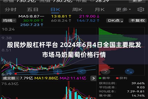 股民炒股杠杆平台 2024年6月4日全国主要批发市场马奶葡萄价格行情