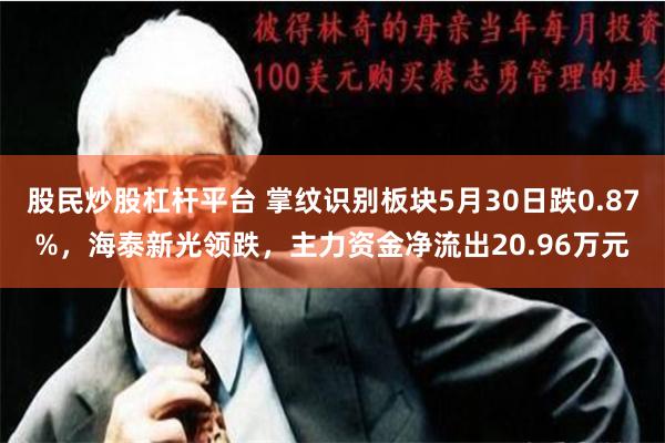 股民炒股杠杆平台 掌纹识别板块5月30日跌0.87%，海泰新光领跌，主力资金净流出20.96万元