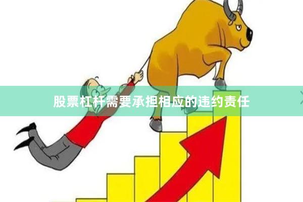 股票杠杆需要承担相应的违约责任
