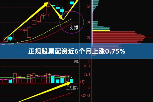 正规股票配资近6个月上涨0.75%